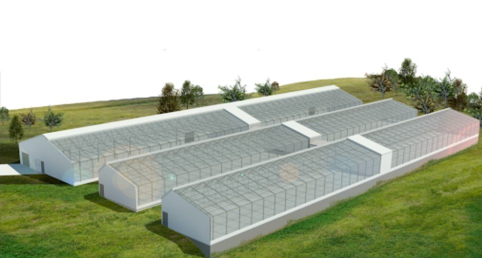 Struktur greenhouse