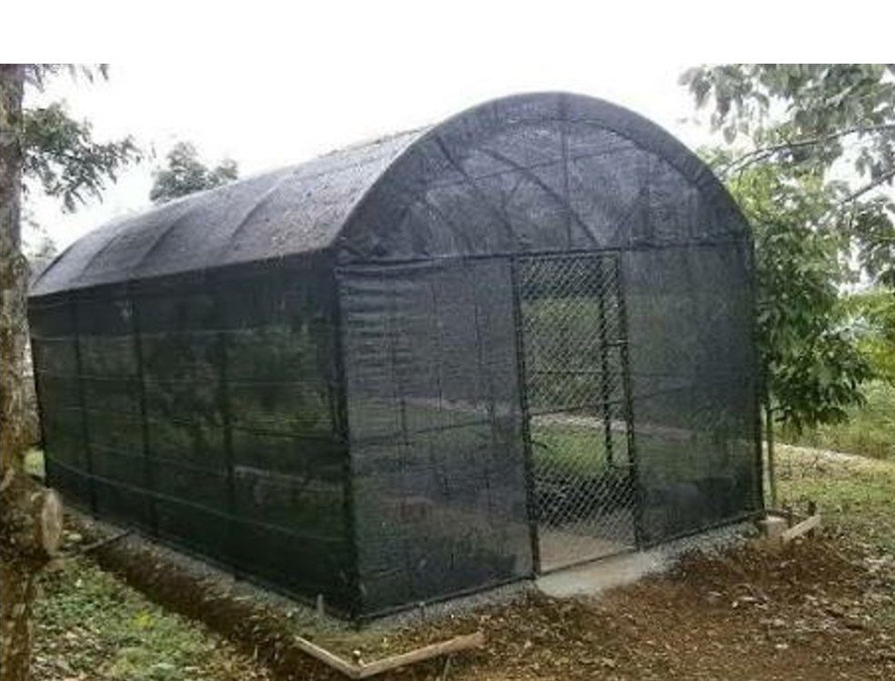 Detail pekerjaan greenhouse